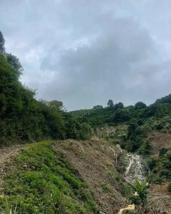 CẦN BÁN LÔ ĐẤT VƯỜN CÀ PHÊ GẦN ĐÀ LẠT - XÃ NAM BAN - LÂM HÀ - LÂM ĐỒNG 15994211