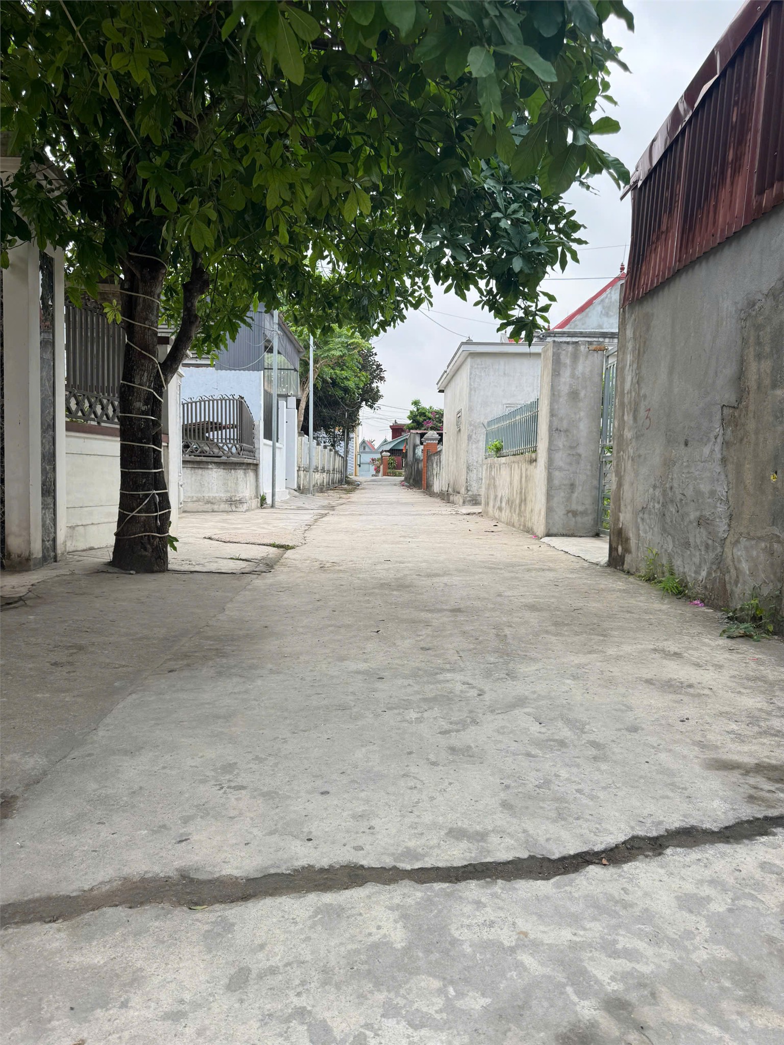 SIÊU PHẨM 178,9M2 VIỆT TIẾN, ĐẠI HỢP – NGANG KHỦNG 10,45M – SÁT TÁI ĐỊNH CƯ 15994224