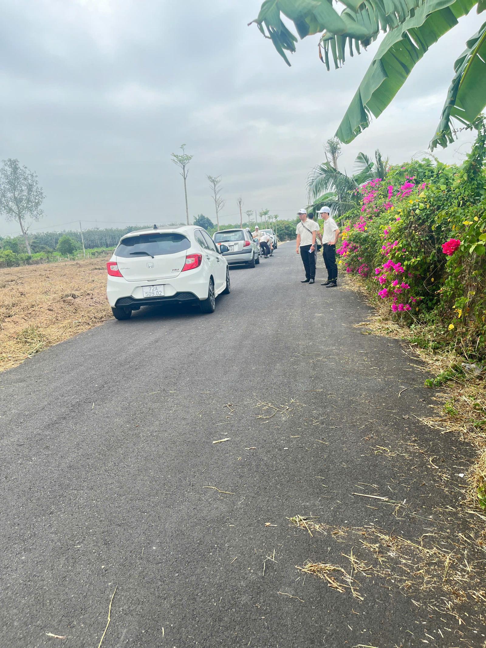  CHỈ 20 NỀN DUY NHẤT – KHÔNG CÒN LÔ THỨ 21 15994260