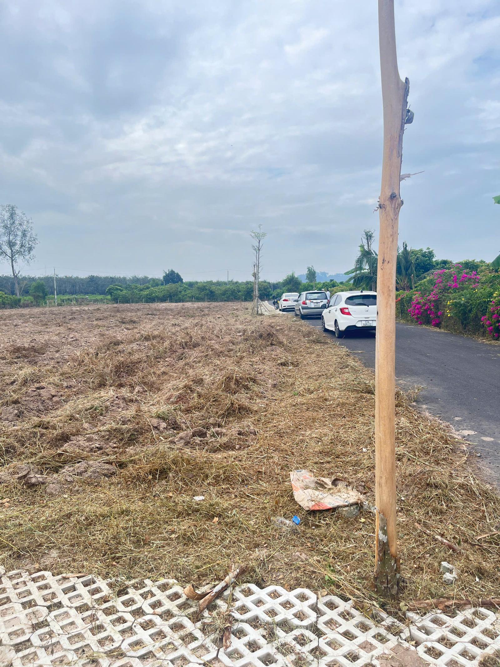  CHỈ 20 NỀN DUY NHẤT – KHÔNG CÒN LÔ THỨ 21 15994260