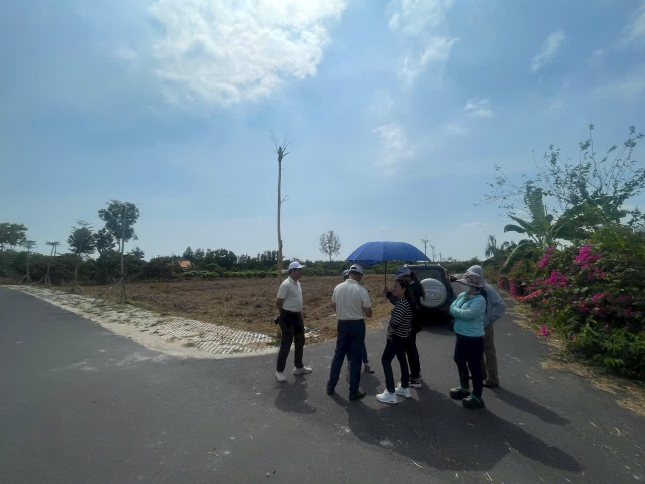  CHỈ 20 NỀN DUY NHẤT – KHÔNG CÒN LÔ THỨ 21 15994260