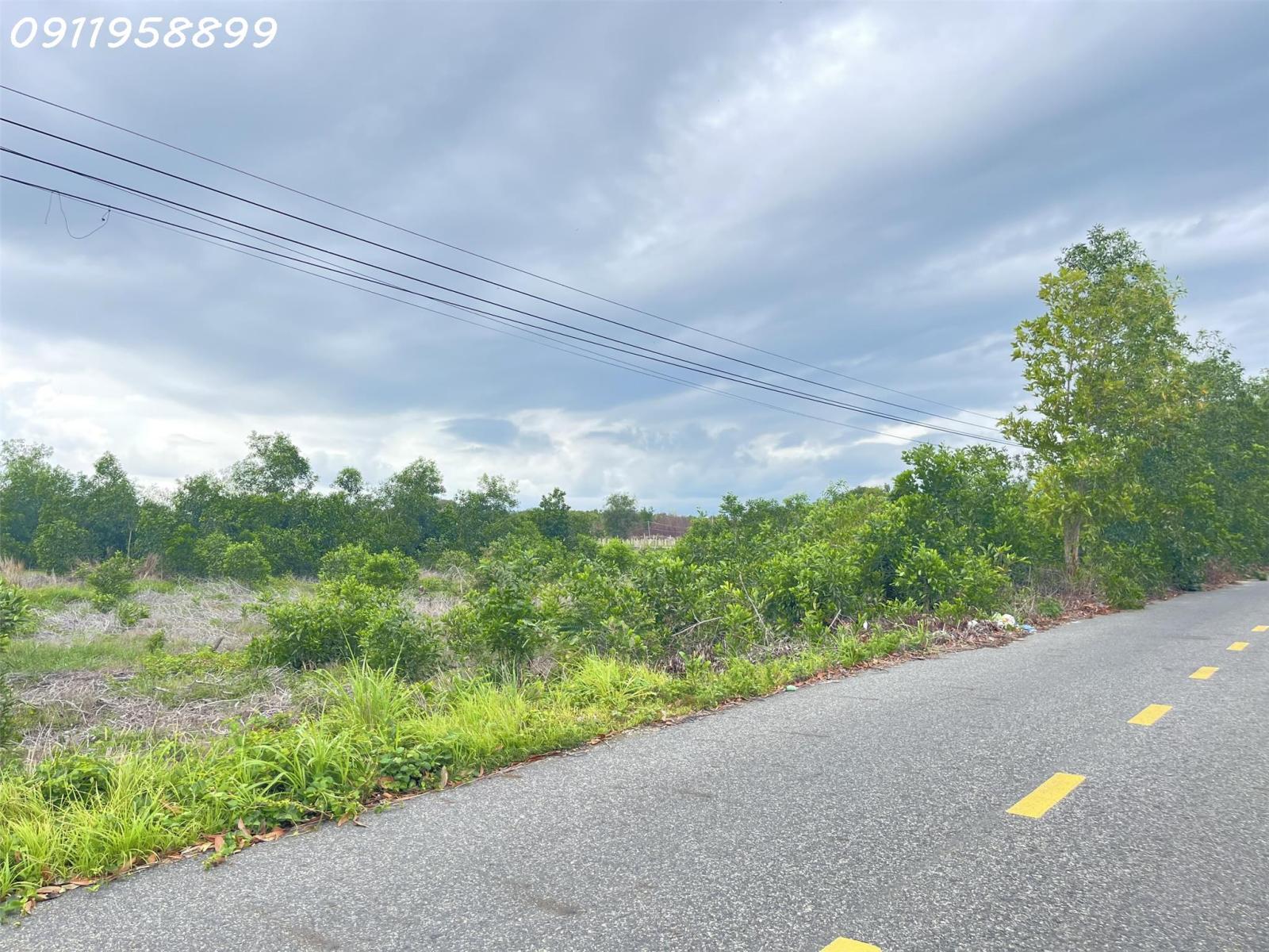 Bán 1000m2 đất mặt tiền Lê Quang Định, LaGi gần Biển giá ngộp 15994269