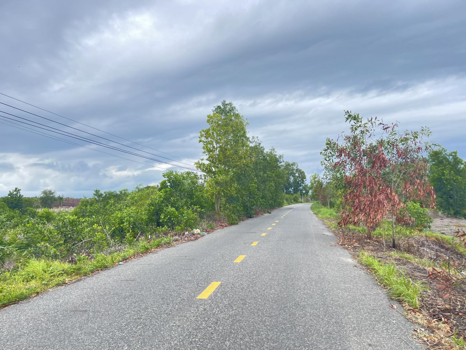 Bán 1000m2 đất mặt tiền Lê Quang Định, LaGi gần Biển giá ngộp 15994269