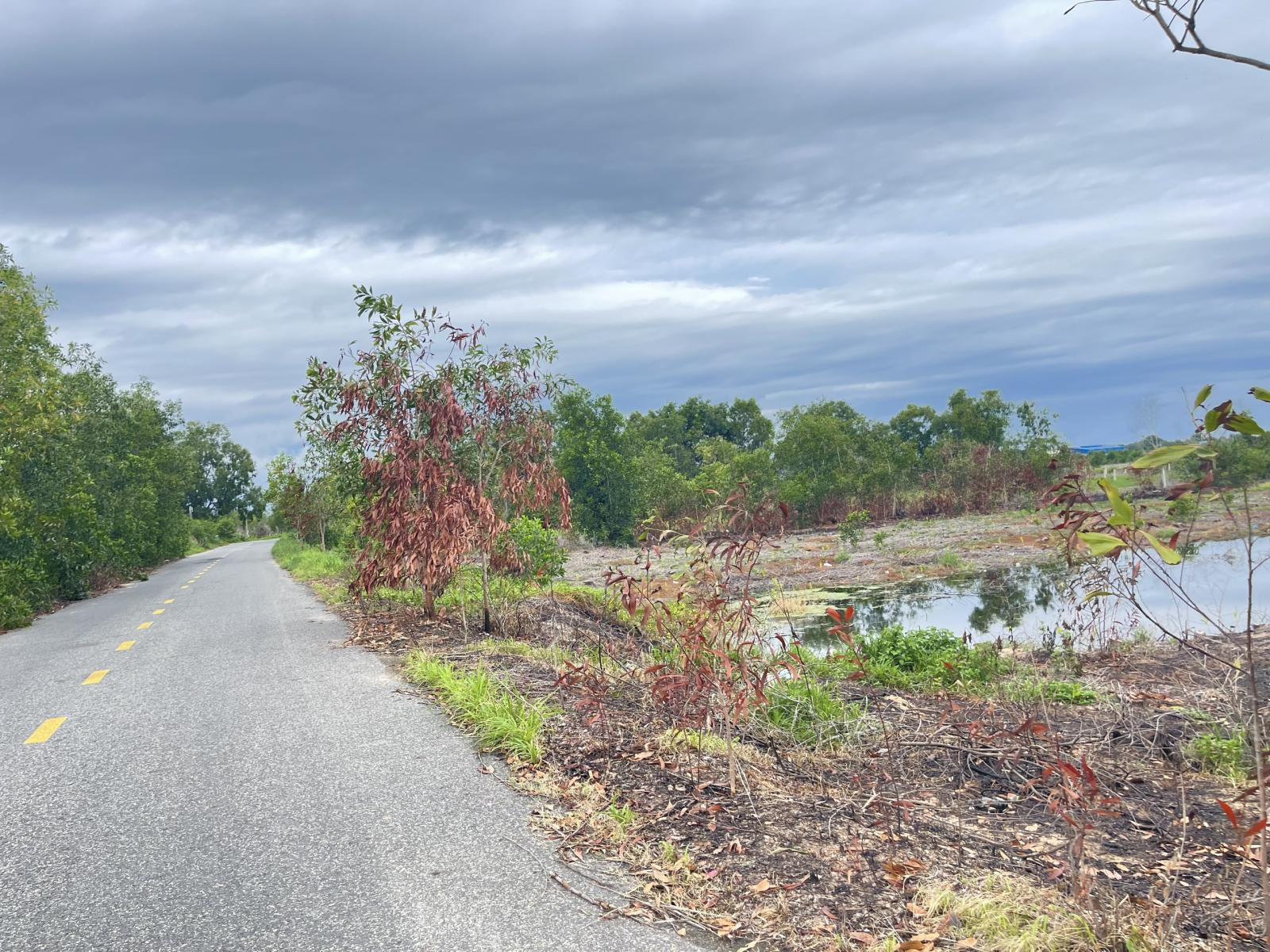 Bán 1000m2 đất mặt tiền Lê Quang Định, LaGi gần Biển giá ngộp 15994269