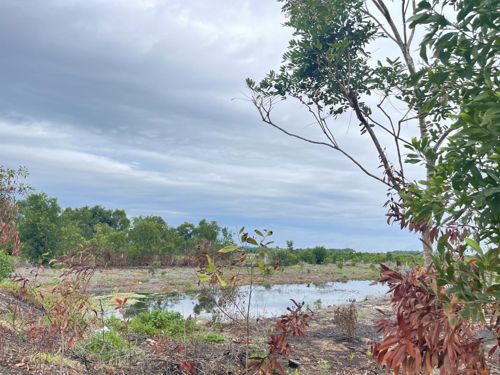 Bán 1000m2 đất mặt tiền Lê Quang Định, LaGi gần Biển giá ngộp 15994269