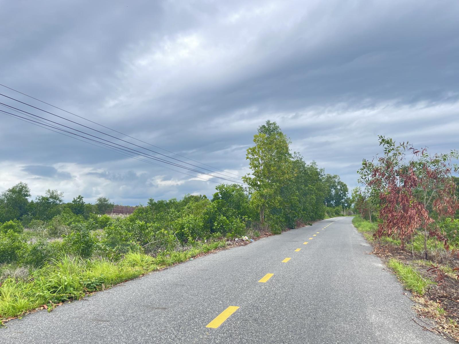 Bán 1000m2 đất mặt tiền Lê Quang Định, LaGi gần Biển giá ngộp 15994269