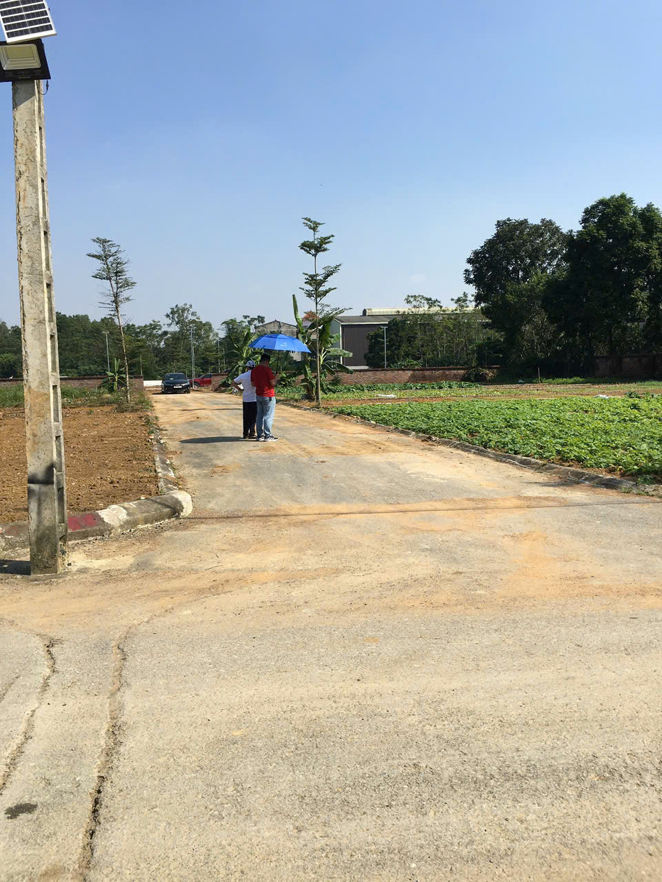 Chính Chủ Bán đất Liền Kề sát tái định cư Bắc Phú Cát/ Hòa Lạc  101.7m2 đất fun thổ cư. 4.x tỷ , lh 15994281