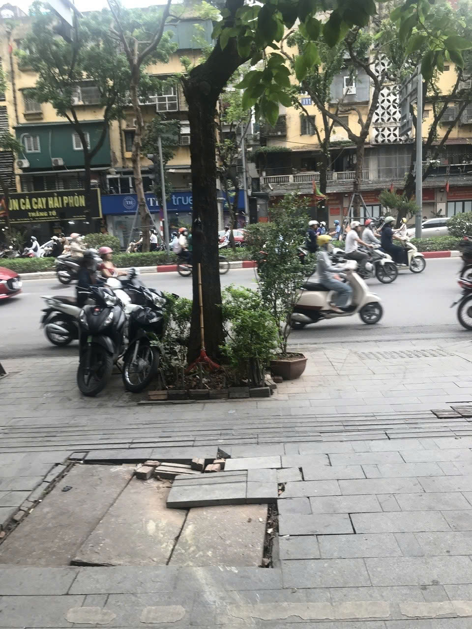 CHO THUÊ MẶT BẰNG KINH DOANH-VĂN PHÒNG – 66 LÁNG HẠ, ĐỐNG ĐA, HÀ NỘI 15994403