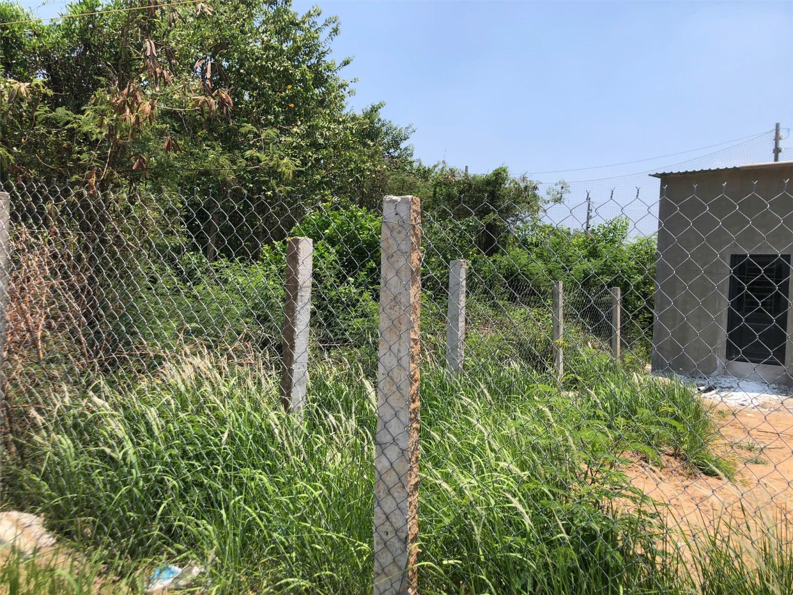 ĐẤT ĐẸP- GIÁ TỐT CHÍNH CHỦ BÁN NHANH LÔ ĐẤT VỊ TRÍ ĐẮC ĐỊA TẠI Xã Đông Thạnh Cần Giuộc Long An 15994409