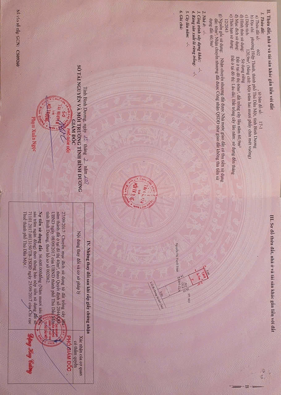 CHÍNH CHỦ CẦN BÁN NHÀ CẤP 4 – PHÚ LỢI, TP. HỒ CHÍ MINH 15994414