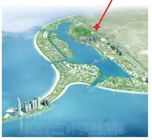 ĐẤT BIỆT THỰ BIỂN CẦN GIỜ – VỊ TRÍ ĐẸP SÁT SÂN GOLF VIN PARADISE 15994532