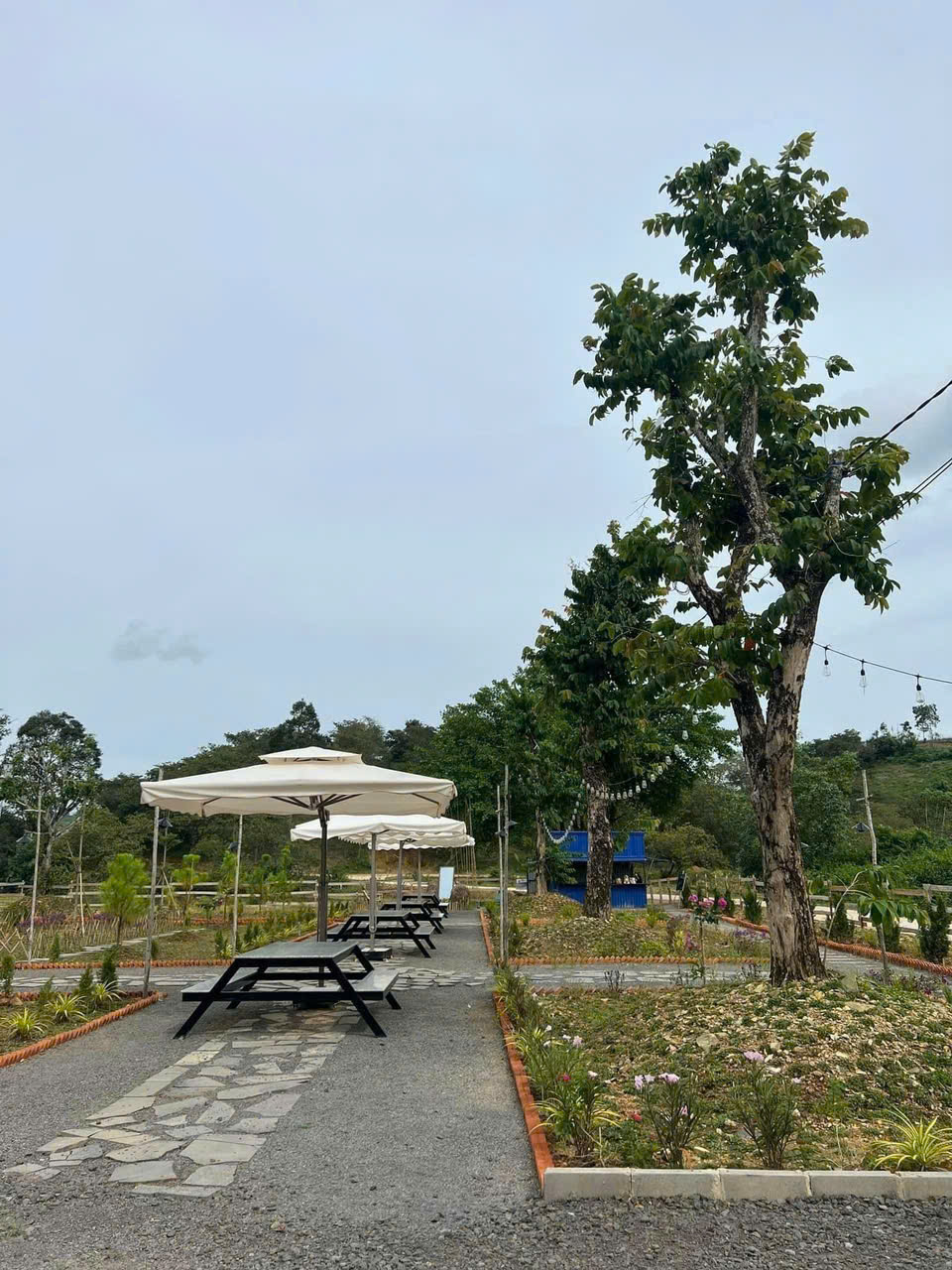 Bán Đất Khu Câu Cá Chân Đồi, Ấp Bàu Chim, Xã Phú Xuân, Huyện Tân Phú, Đồng Nai 15994537