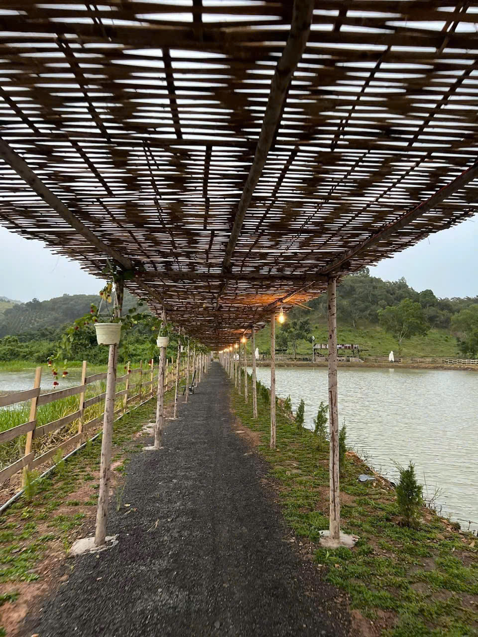 Bán Đất Khu Câu Cá Chân Đồi, Ấp Bàu Chim, Xã Phú Xuân, Huyện Tân Phú, Đồng Nai 15994537