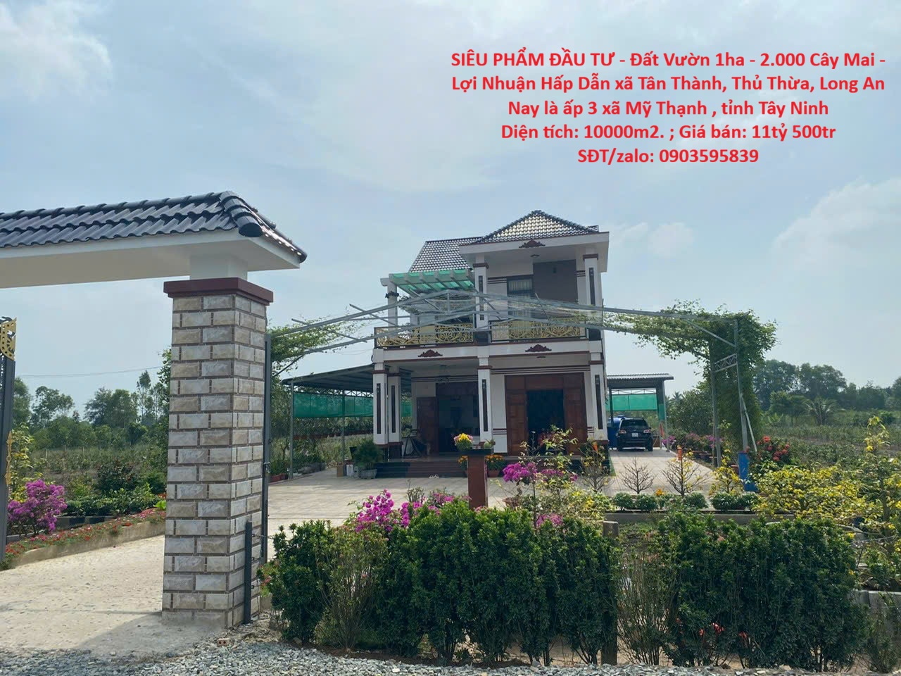 SIÊU PHẨM ĐẦU TƯ - Đất Vườn 1ha - 2.000 Cây Mai - Lợi Nhuận Hấp Dẫn xã Tân Thành, Thủ Thừa, Long An 15994643