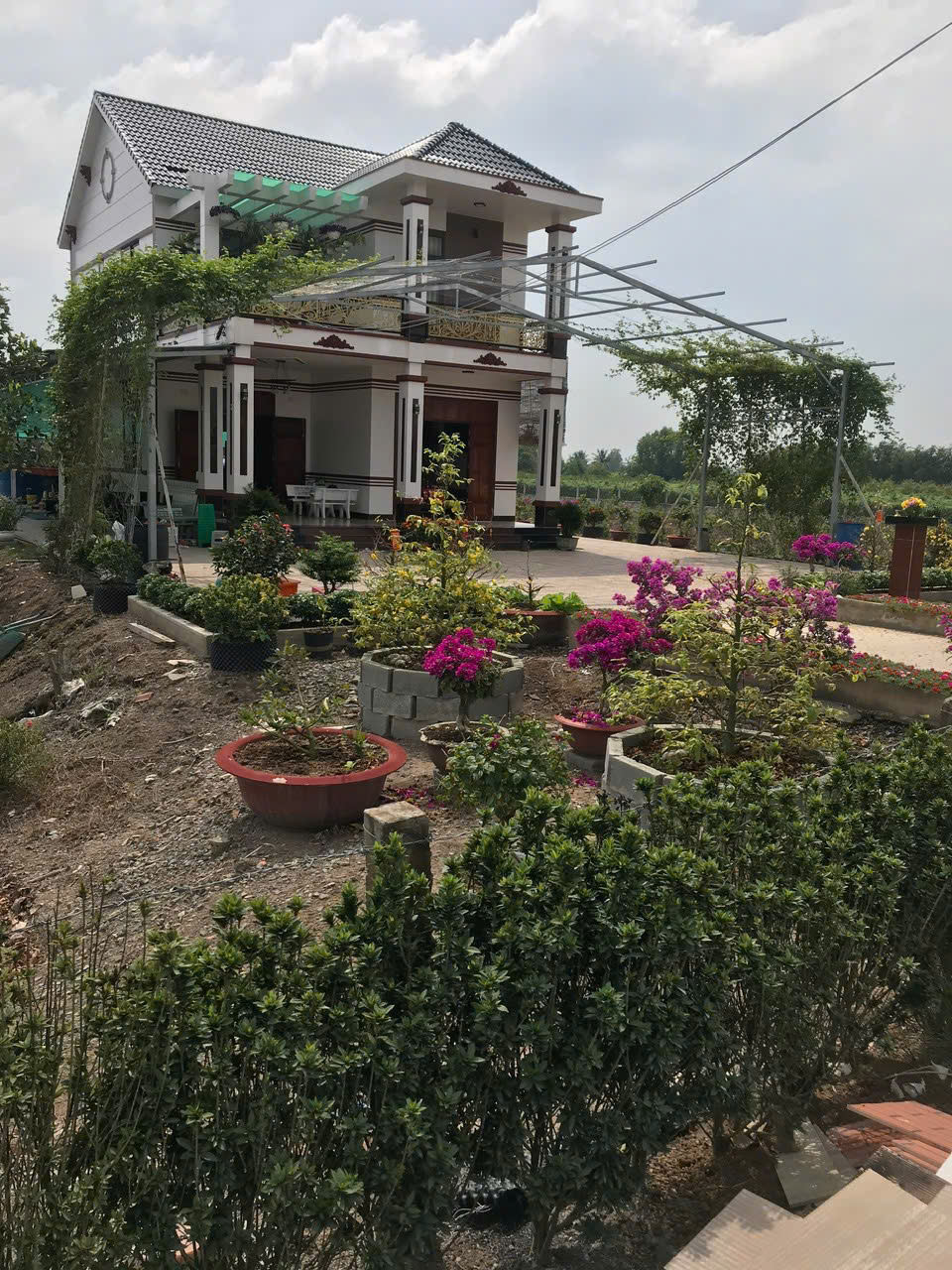 SIÊU PHẨM ĐẦU TƯ - Đất Vườn 1ha - 2.000 Cây Mai - Lợi Nhuận Hấp Dẫn xã Tân Thành, Thủ Thừa, Long An 15994643