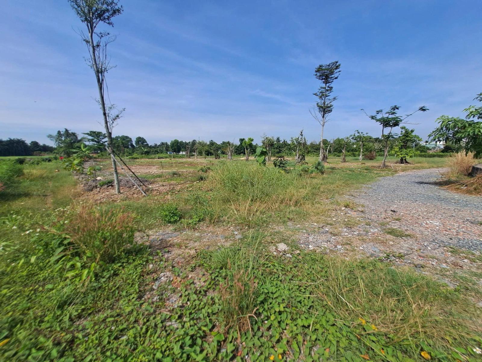 CHỦ NGỘP BÁN GẤP 2 LÔ ĐẤT NHỊ BÌNH – ĐƯỜNG XE TẢI – GIÁ CỰC TỐT 15994658