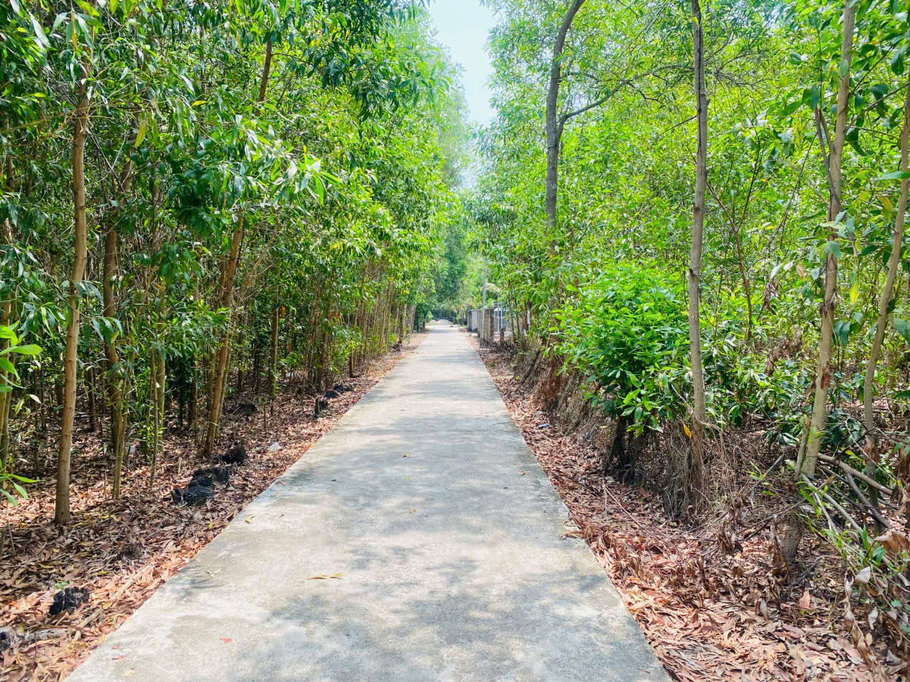 Bán 283m2 đất thổ cư Hẻm Quốc Lộ 55, Tân Thiện, LaGi giá rẻ nhất 1.2 tỷ 15994672