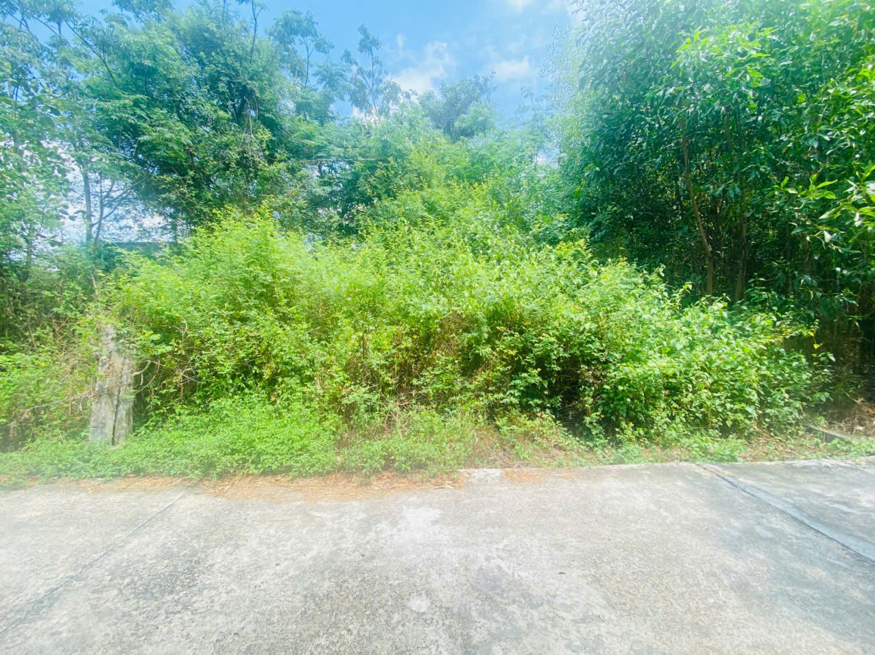 Bán 283m2 đất thổ cư Hẻm Quốc Lộ 55, Tân Thiện, LaGi giá rẻ nhất 1.2 tỷ 15994672