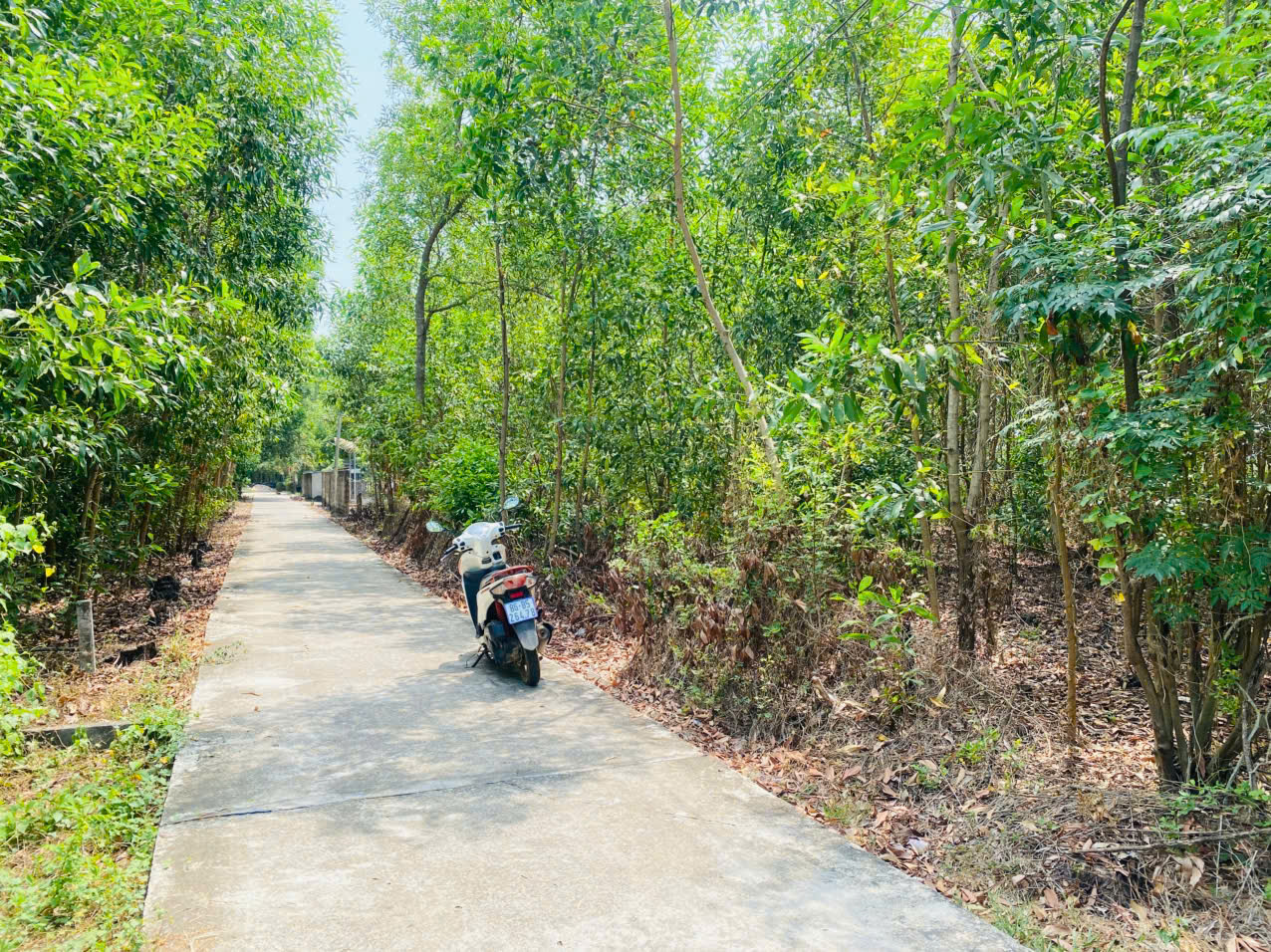 Bán 283m2 đất thổ cư Hẻm Quốc Lộ 55, Tân Thiện, LaGi giá rẻ nhất 1.2 tỷ 15994672