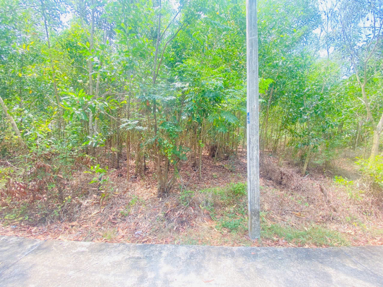 Bán 283m2 đất thổ cư Hẻm Quốc Lộ 55, Tân Thiện, LaGi giá rẻ nhất 1.2 tỷ 15994672