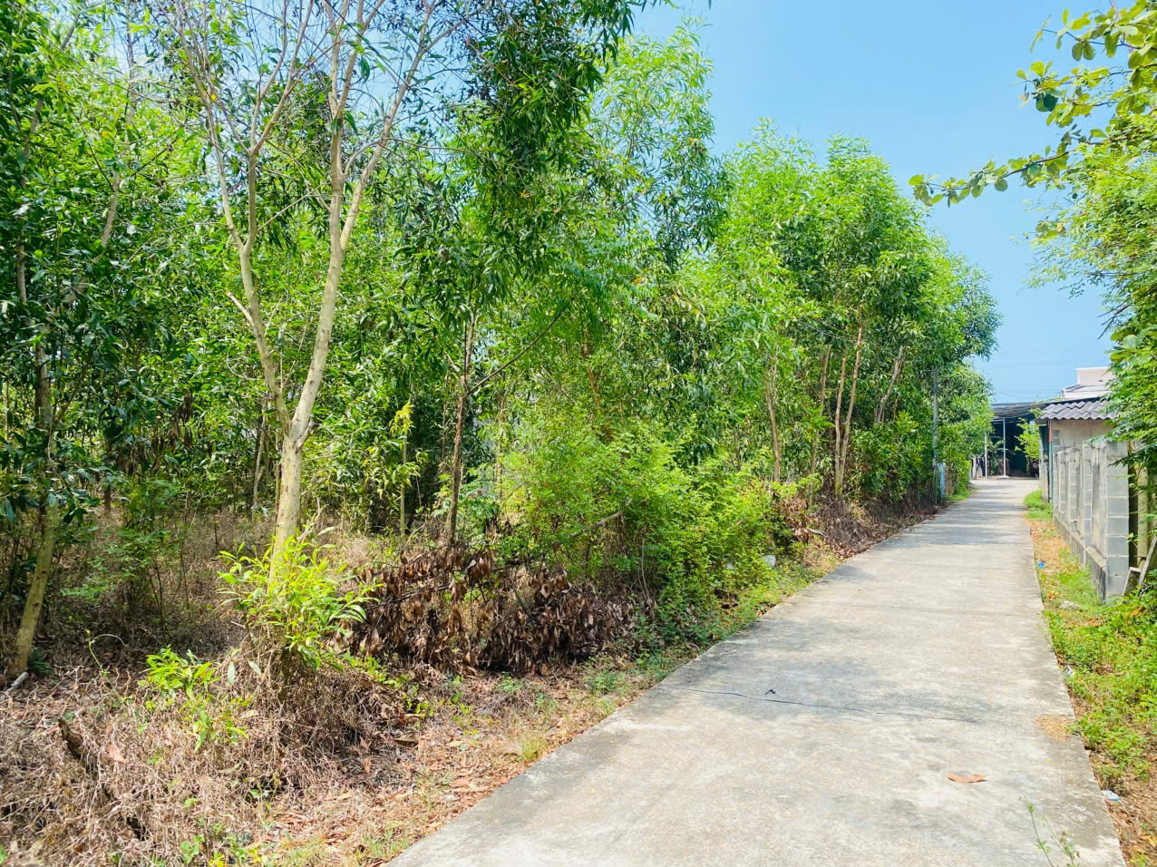 Bán 283m2 đất thổ cư Hẻm Quốc Lộ 55, Tân Thiện, LaGi giá rẻ nhất 1.2 tỷ 15994672