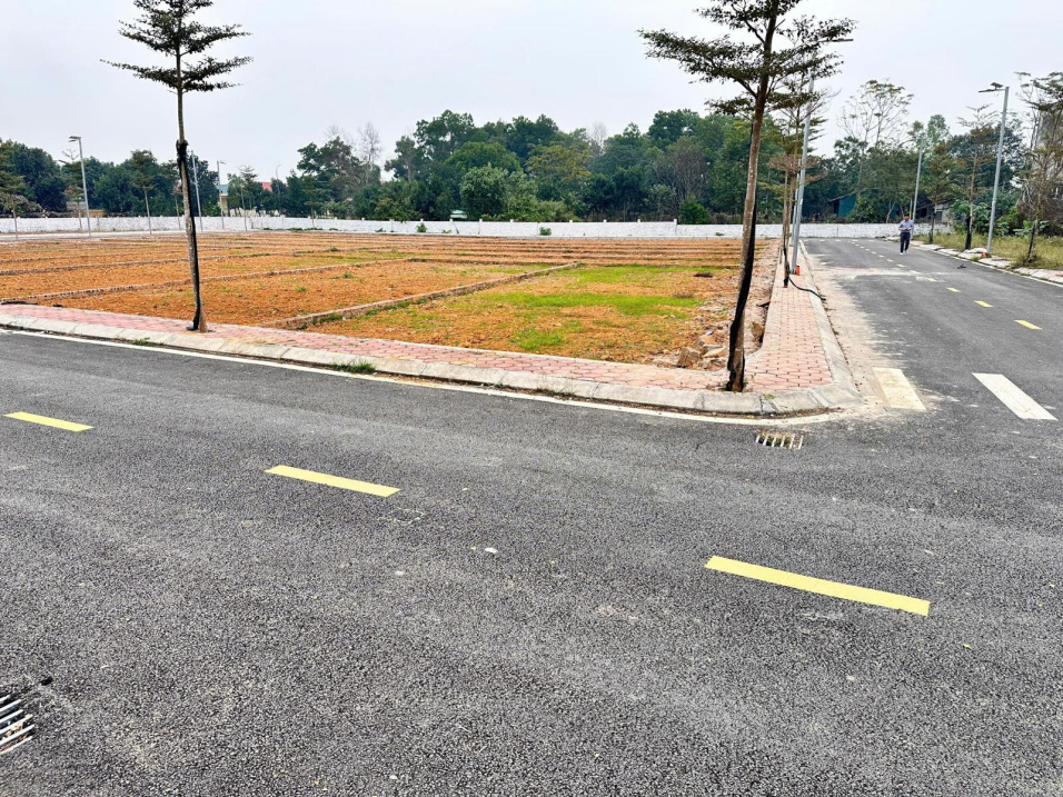 Vốn đầu tư siêu rẻ! Sở hữu đất nền Hòa Lạc hàng f0 sổ sẵn trao tay ngân hàng hỗ trợ lãi suất 15994692