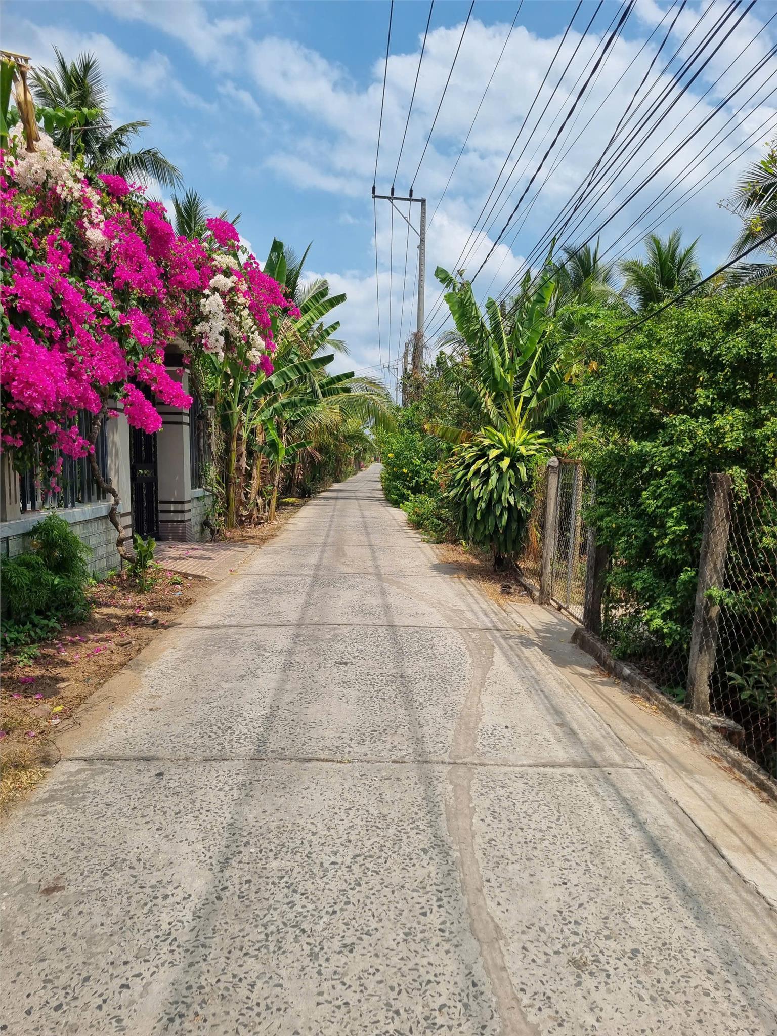 Chỉ 768 triệu -sở hữu hộ khẩu TP Bến Tre, an tâm lập nghiệp 15994861