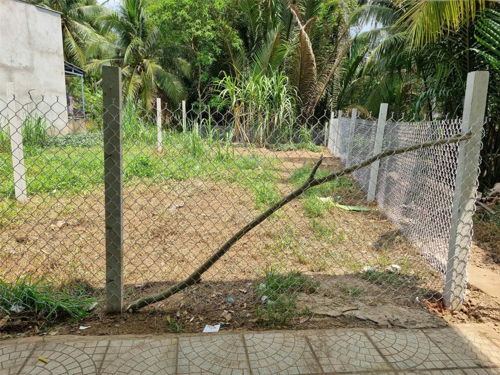 Chỉ 768 triệu -sở hữu hộ khẩu TP Bến Tre, an tâm lập nghiệp 15994861