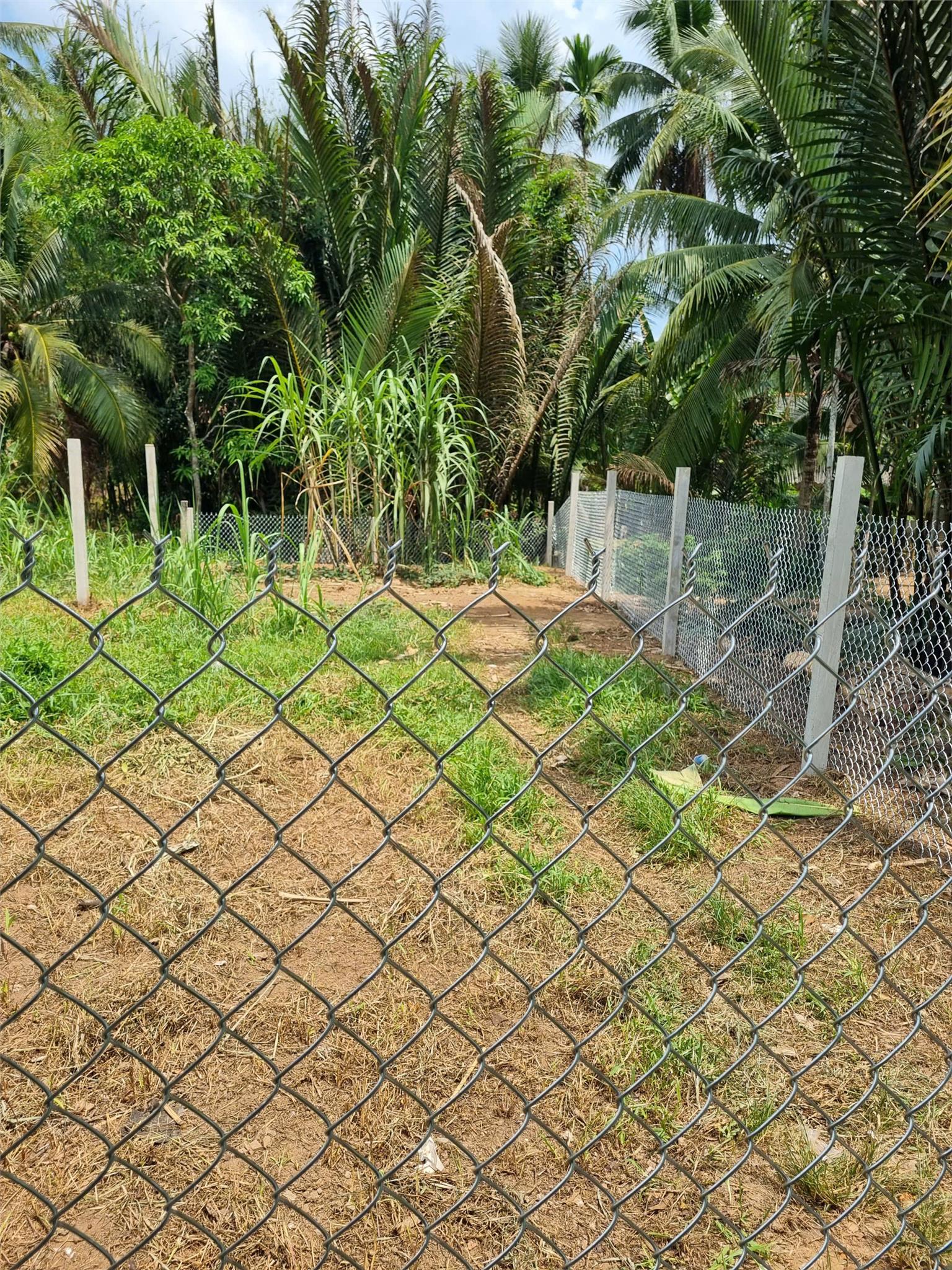 Chỉ 768 triệu -sở hữu hộ khẩu TP Bến Tre, an tâm lập nghiệp 15994861