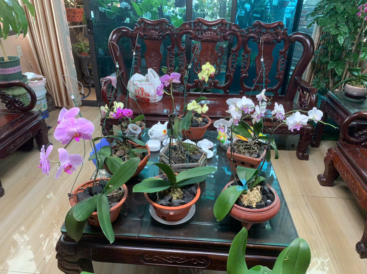 SIÊU PHẨM 9 TẦNG THANG MÁY – MẶT PHỐ HẢI LỘC, HẠ LONG – KINH DOANH ĐỈNH, ĐẦU TƯ SINH LỜI CAO 15994867