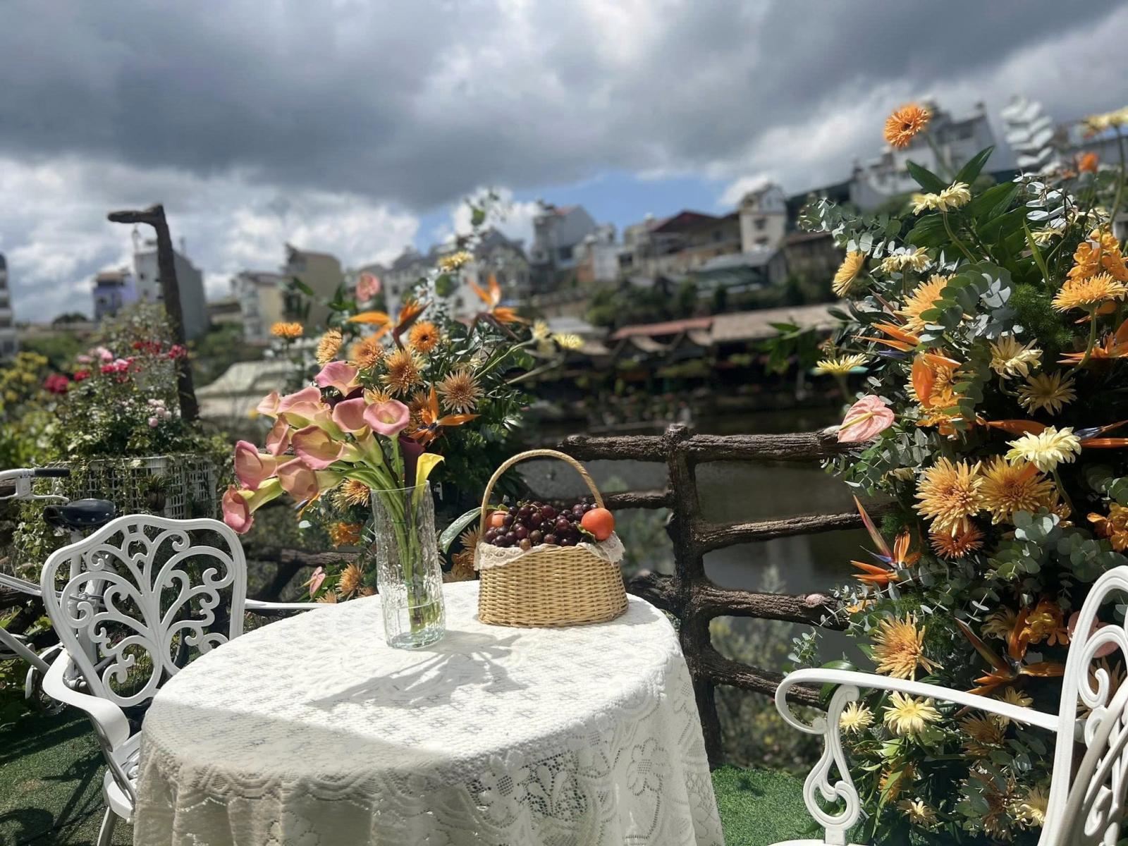 CHỦ SẮP XUẤT CẢNH NÊN CẦN SANG NHƯỢNG GẤP VƯỜN NHO VIEW HỒ – KINH DOANH NGAY TẠI Đà Lạt 15994911