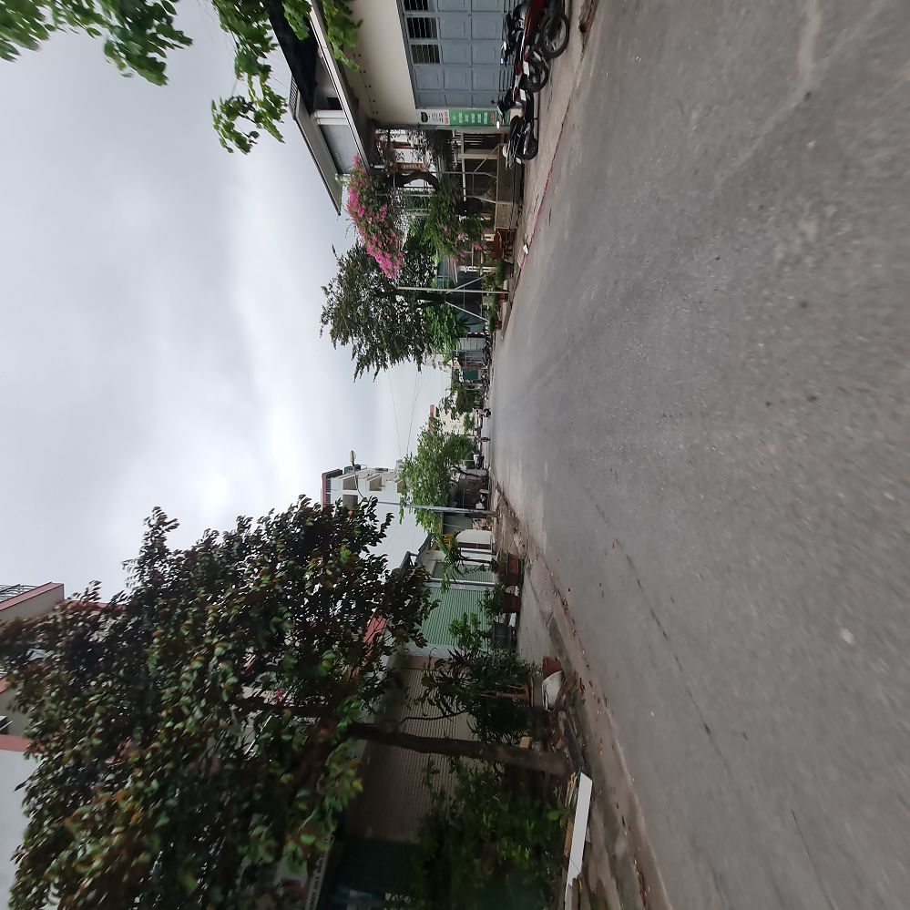 🔥 234m2 KĐG 31ha Trâu Quỳ Gia Lâm MT 12m đường 15m giá 3x tỷ 📞 0989894845 15994970