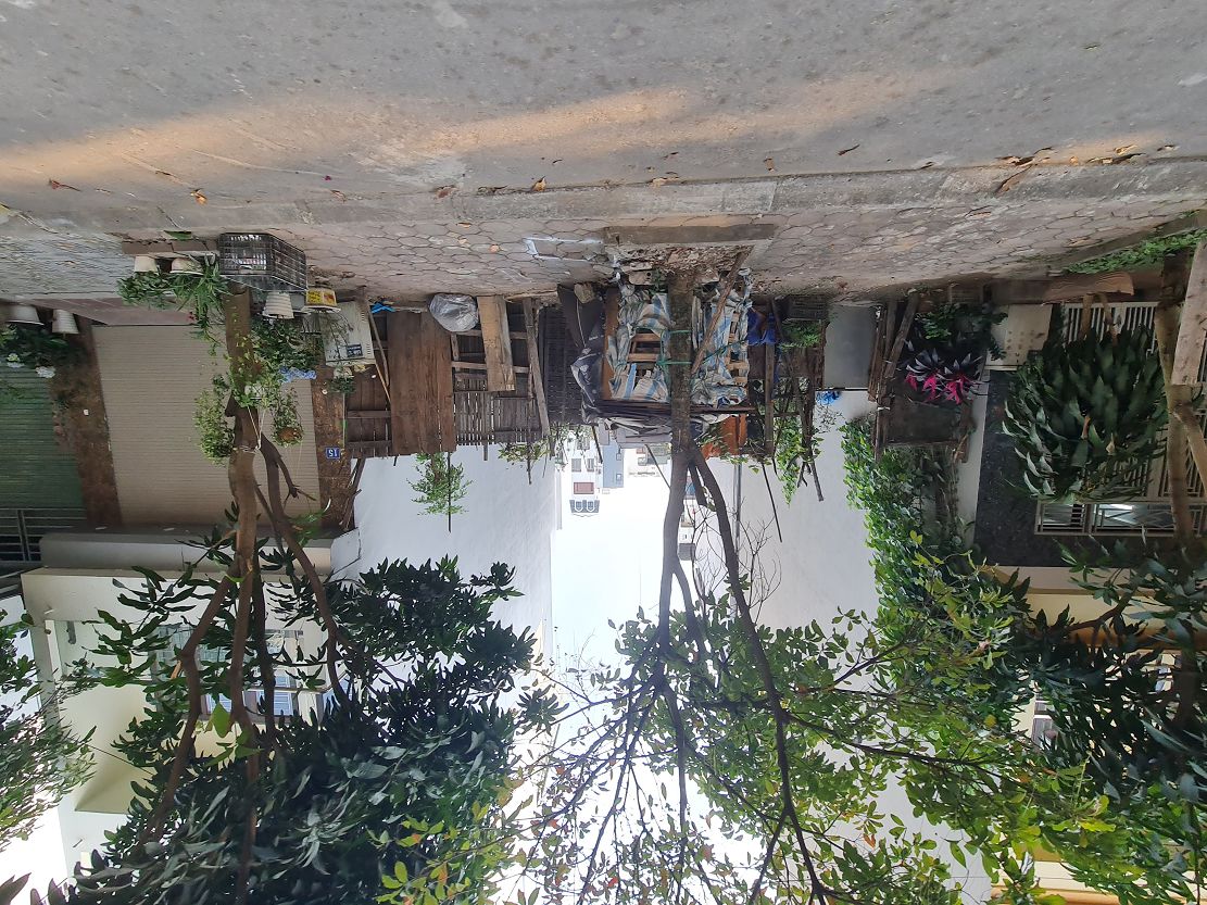 234m2 Khu đấu giá 31ha, Trâu Quỳ, Gia Lâm. Mt 12m. Đường 15m.  3x tiểu học. Lh 0989894845 15994972