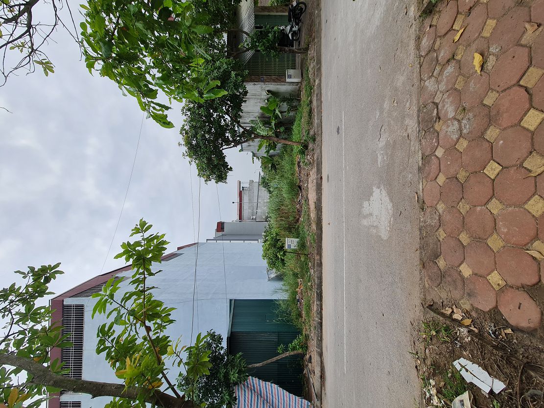 🔥 234m2 KĐG 31ha Trâu Quỳ Gia Lâm MT 12m đường 15m giá 3x tỷ 📞 0989894845 15994975