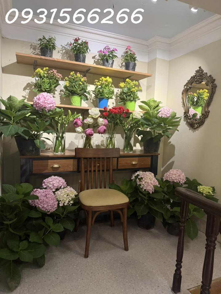 SANG NHƯỢNG QUÁN CAFE TRÀ SỮA CÓ VỈA HÈ TẠI SỐ 6 KỲ ĐỒNG, HẢI PHÒNG 15994995