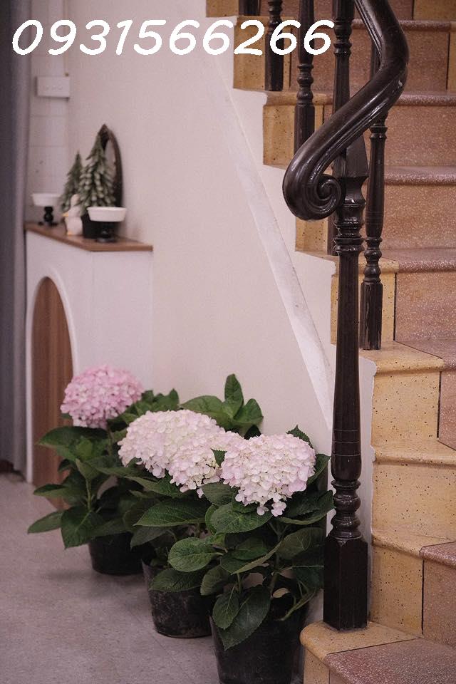 SANG NHƯỢNG QUÁN CAFE TRÀ SỮA CÓ VỈA HÈ TẠI SỐ 6 KỲ ĐỒNG, HẢI PHÒNG 15994995