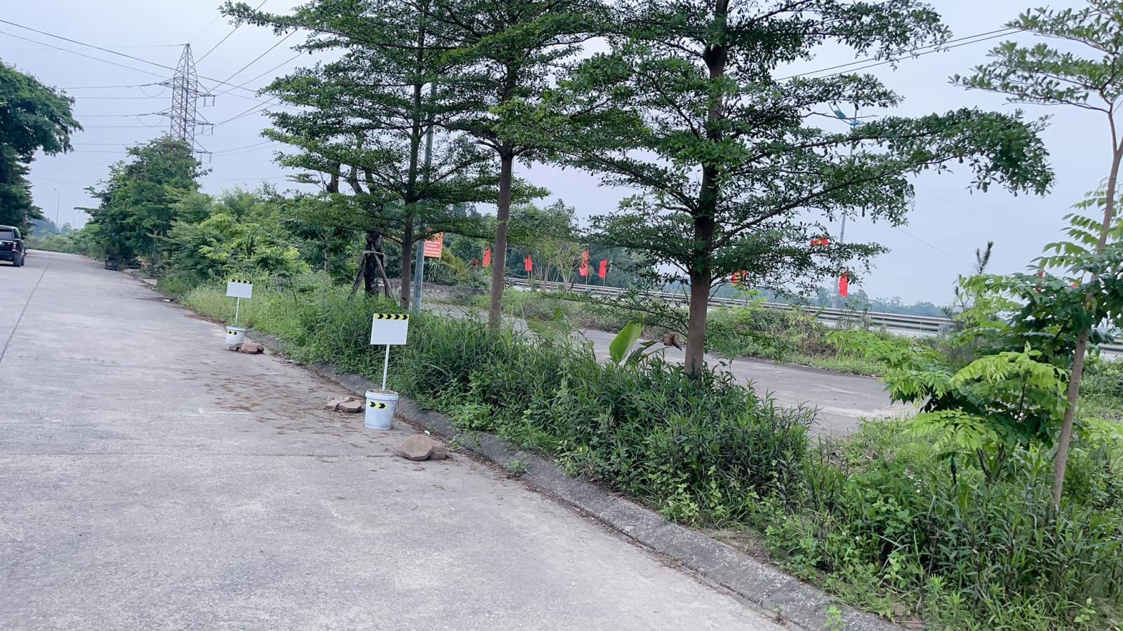 CHÍNH CHỦ CẦN BÁN GẤP – GIÁ THẬT, KHÔNG TREO. Lô đất X2 Đồng Nhân – Hải Bối (Vĩnh Thanh) 80m² – mặt 15994994