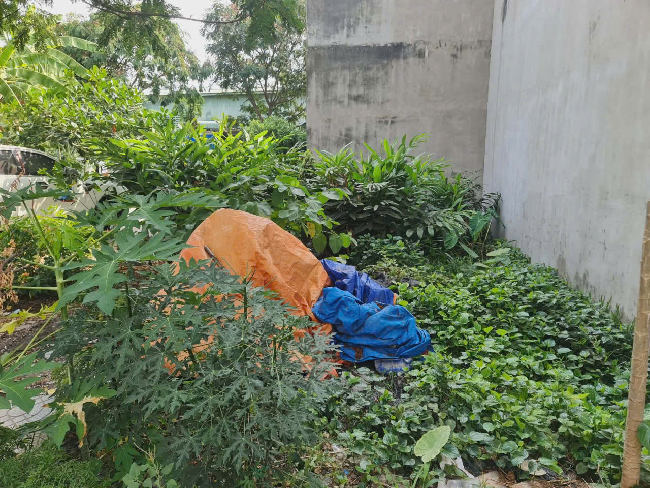 Bán lô đất cực đẹp,SHR đường nhựa 13m,giáp CÔNG VIÊN,gần Vincom 550 15995013