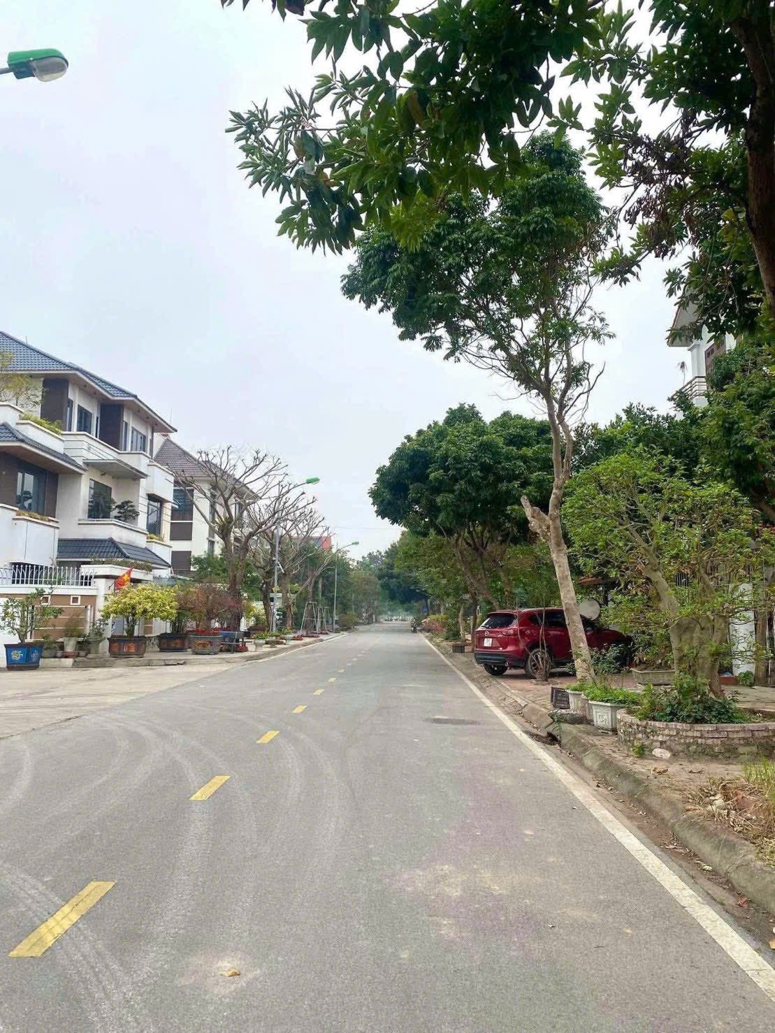 Bán lô đất biệt thự mặt đường Hoàng Văn Cơm, khu Đỉnh Long, TP HD, 183m2, mt 11m, giá tốt 15995057