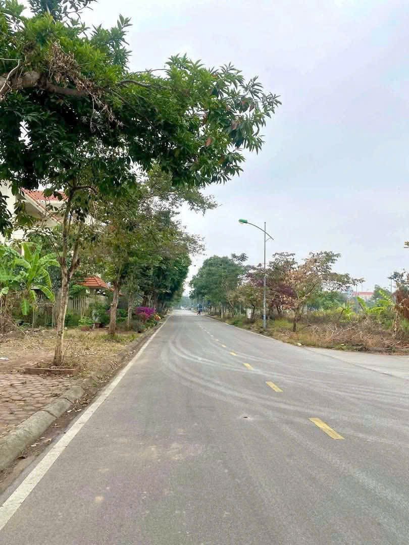 Bán lô đất biệt thự mặt đường Hoàng Văn Cơm, khu Đỉnh Long, TP HD, 183m2, mt 11m, giá tốt 15995057