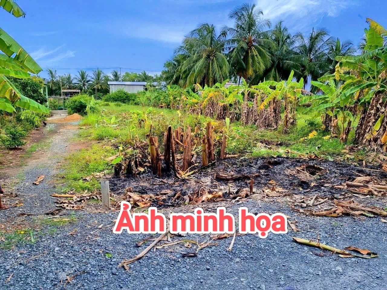 CẦN BÁN 1664M2 ĐẤT THỔ CƯ ĐƯỜNG XE TẢI TỚI ĐẤT 15995093