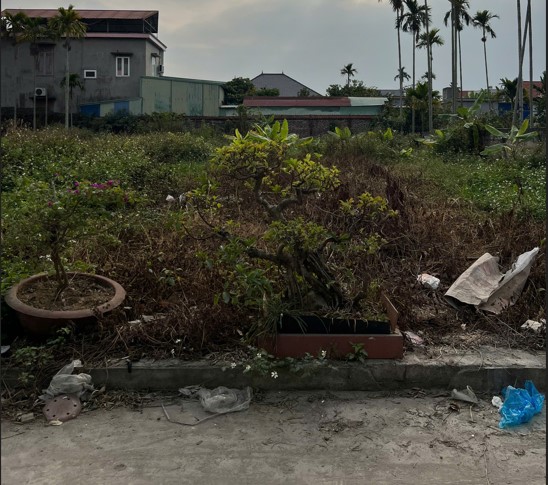 BÁN ĐẤT PHÂN LÔ PHỤC LỄ – THUỶ NGUYÊN – Ô TÔ VÀO TẬN NƠI – GIÁ 1,5 TỶ 15995177