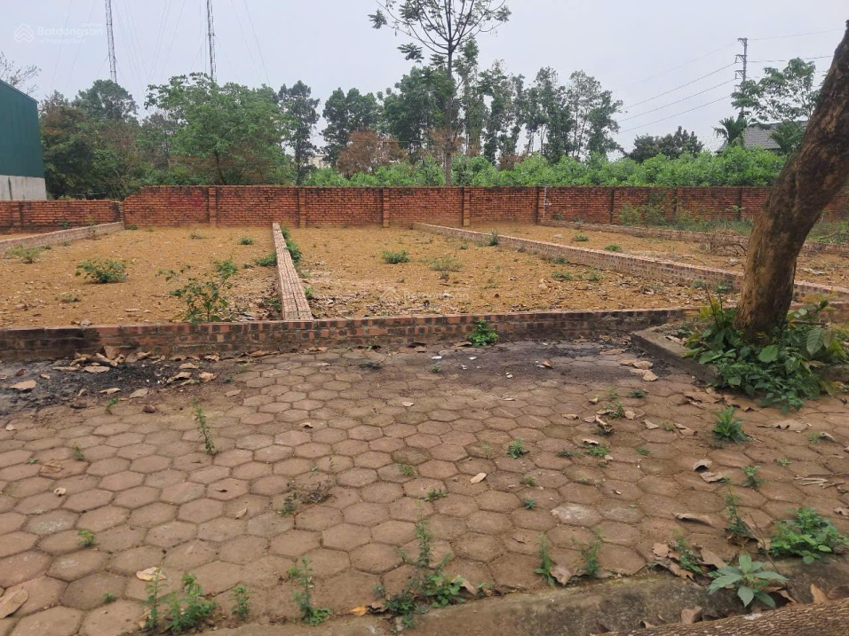 100m Tái định cư Vai Réo, xã Phú Cát giá rẻ bất ngờ 15995198