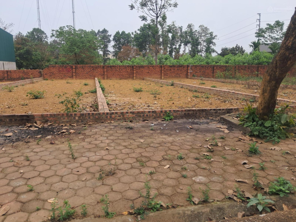 100m Tái định cư Vai Réo, xã Phú Cát giá rẻ bất ngờ 15995198