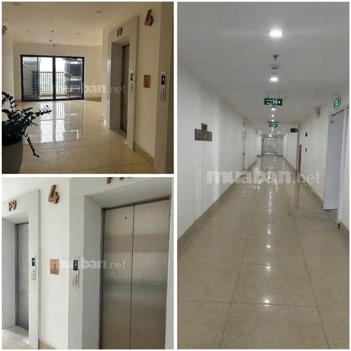 CHO THUÊ MẶT BẰNG THƯƠNG MẠI – HOUSINCO PREMIUM 15995215