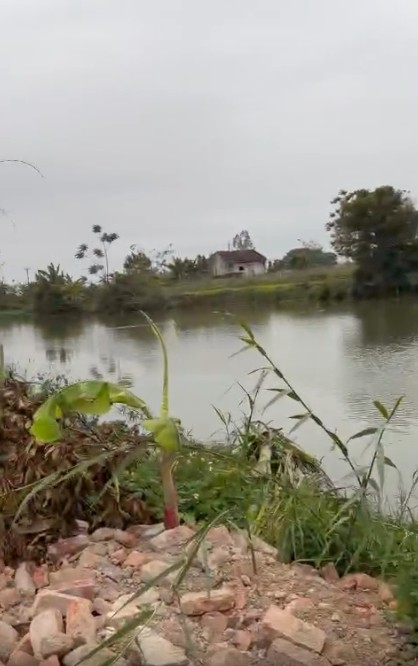 Siêu phẩm view sông - Hiếm có khó tìm - đất Đẹp, tiềm năng tăng giá - Phù hợp làm nhà vườn 15995225
