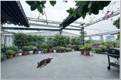 ⭐️Bán nhanh căn hộ tầng 5 chính chủ, đầy đủ tiện ích tại Nguyễn Chí Thanh, Hà Nội. 0818085302 15995283