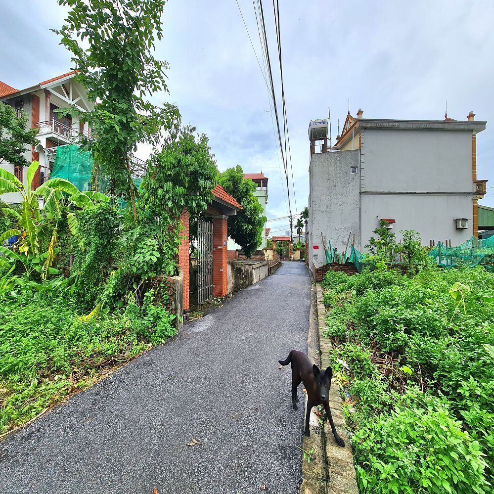 Bán đất 60m2 Thuận An, Hà Nội, mt 4m ngõ rộng gần trục chính 📞 0989894845 15995291