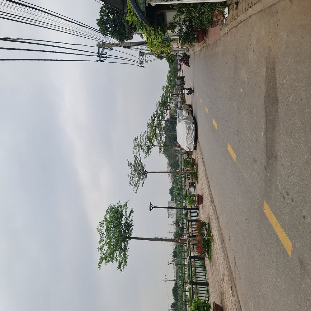 Dương Quang, Gia Lâm 58m2, mt 3,9m chỉ 3 tỷngõ rộng gần trục chính 📞 0989894845 15995333