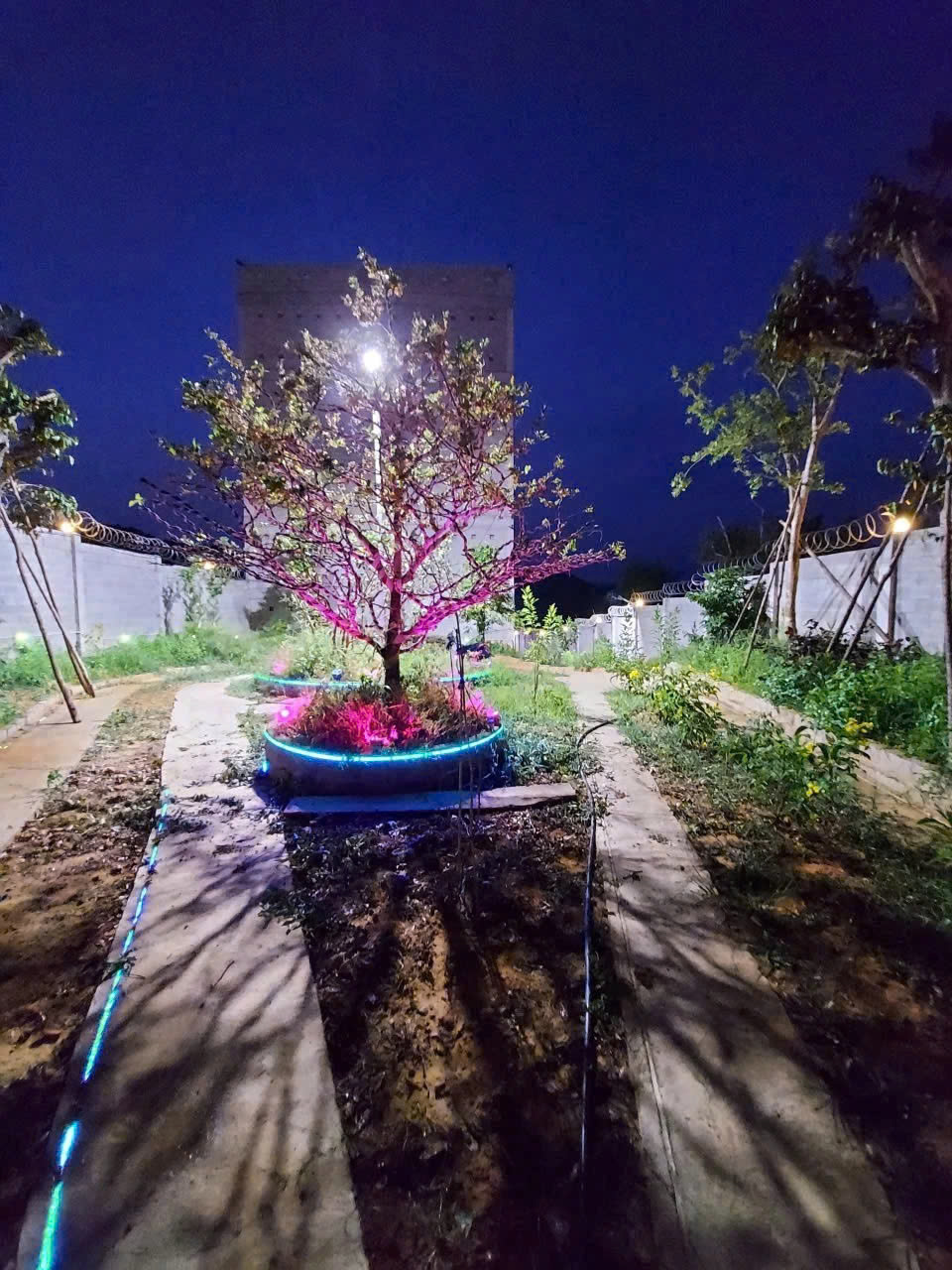 Chính Chủ Bán Nhà Đất Có Sẵn Nhà Yến Diện Tích 1249m² Tại Nam Cát Tiên, Tân Phú, Đồng Nai 15995343